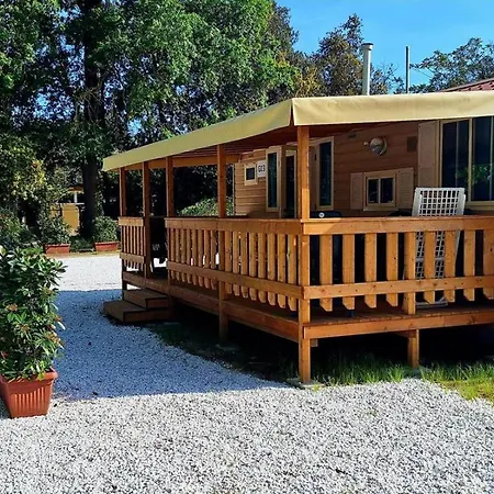Comfortable Campsite-chalet G12 Tuscany Near Sea Chalet Viareggio