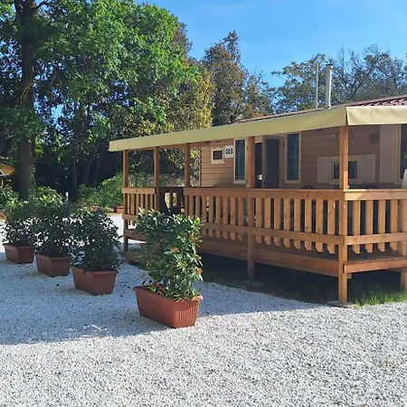 Comfortable Campsite-chalet G12 Tuscany Near Sea Chalet *