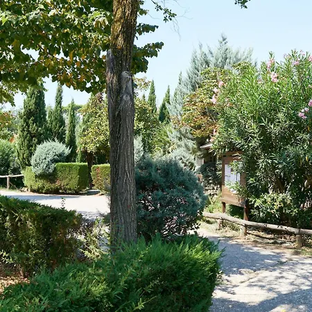 Comfortable Campsite-chalet G12 Tuscany Near Sea Chalet Viareggio
