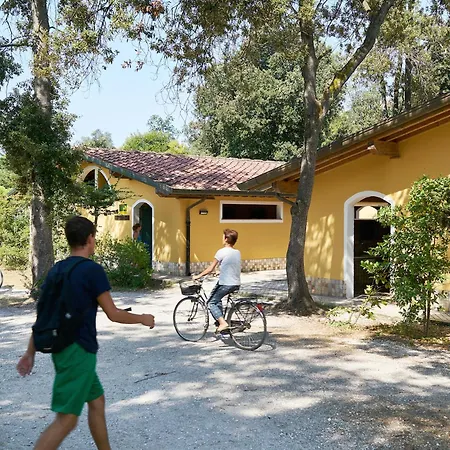 Comfortable Campsite-chalet G12 Tuscany Near Sea *
